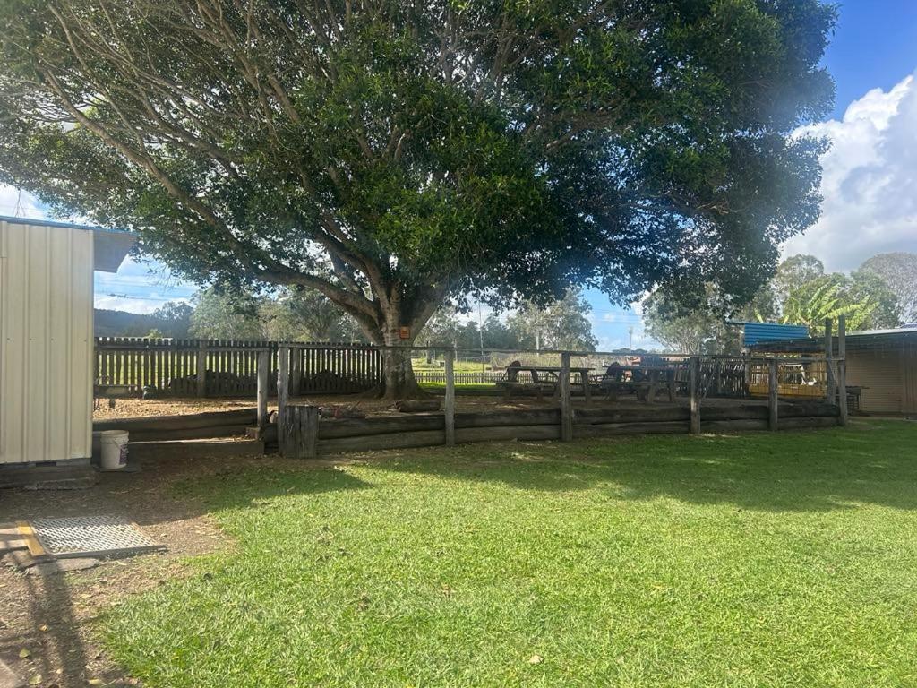 Gundy Pub & Caravan Park Gundiah Esterno foto